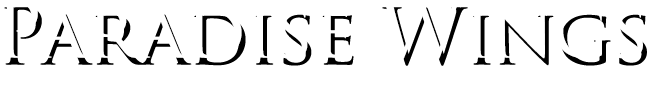 Paradise Wings Arkansas Guided Duck Hunting